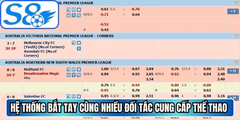 Hệ thống bắt tay cùng nhiều đối tác cung cấp thể thao hàng đầu